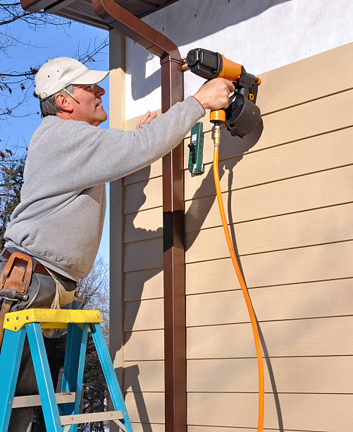 Best Custom Trim and Detailing for Siding  in Rome, IL